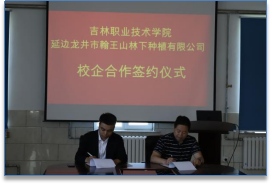 免费a级毛片无码a∨免费