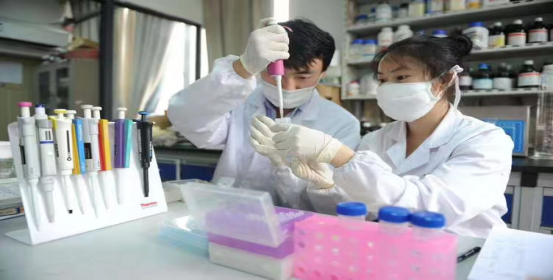 免费a级毛片无码a∨免费