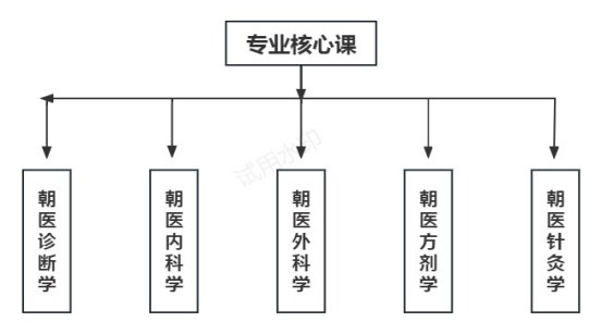 免费a级毛片无码a∨免费