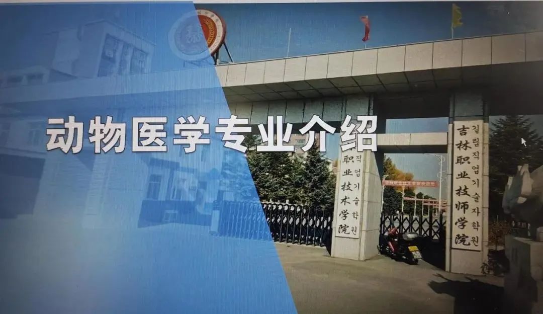 免费a级毛片无码a∨免费