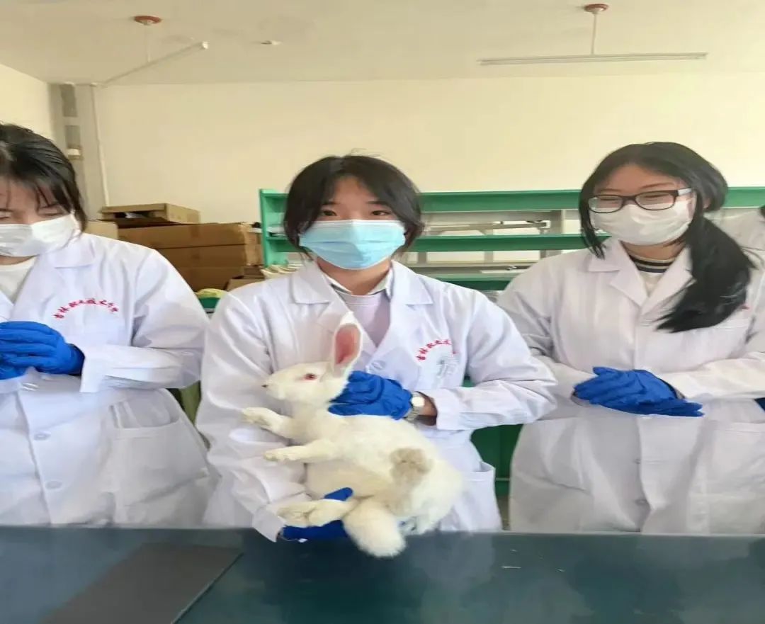 免费a级毛片无码a∨免费