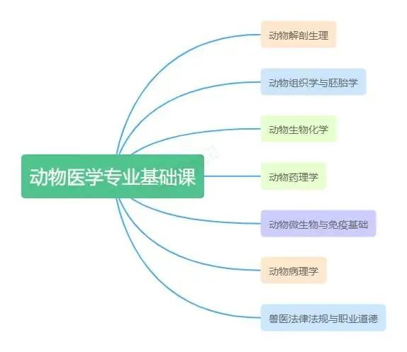 免费a级毛片无码a∨免费