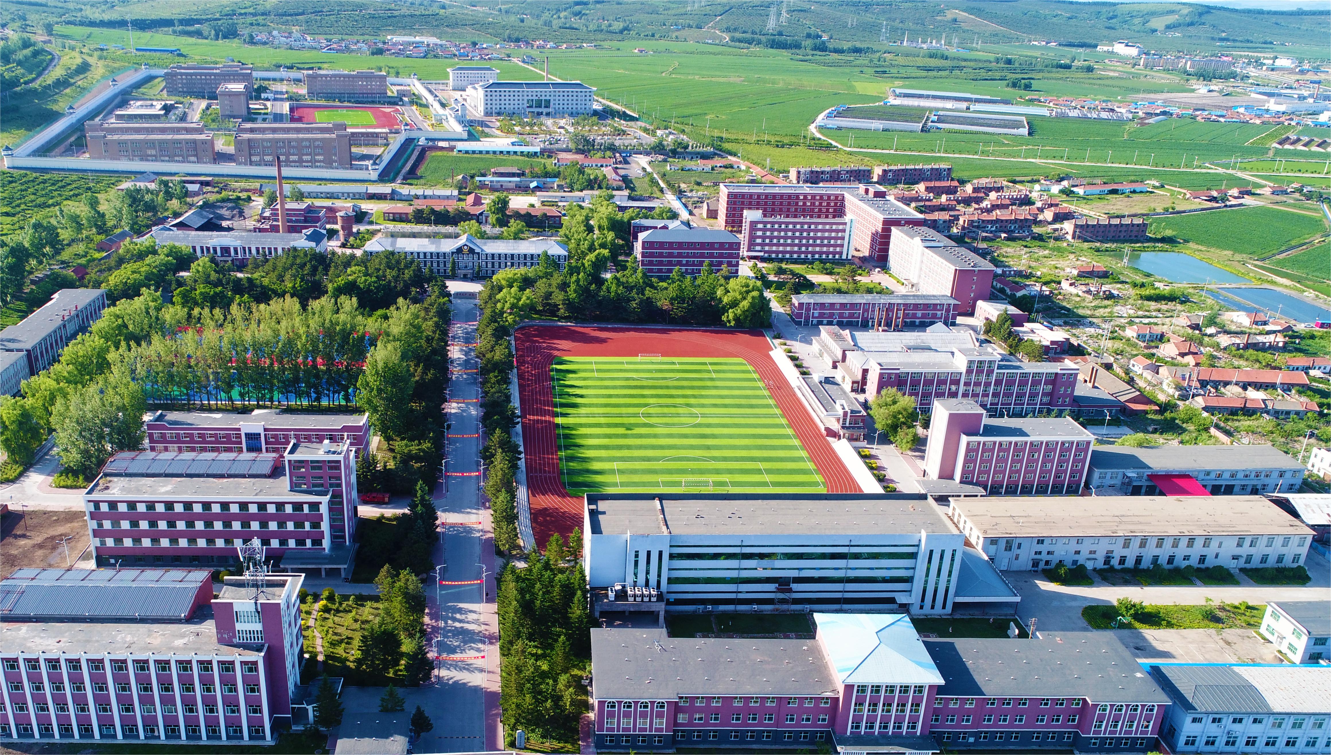 免费a级毛片无码a∨免费