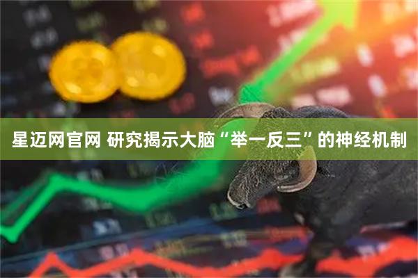 星迈网官网 研究揭示大脑“举一反三”的神经机制