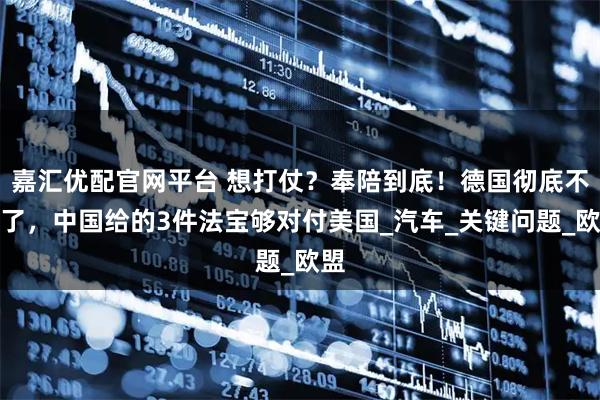 嘉汇优配官网平台 想打仗?奉陪到底!德国彻底不忍了,中国给的3件法宝够对付美国_汽车_关键问题_欧盟