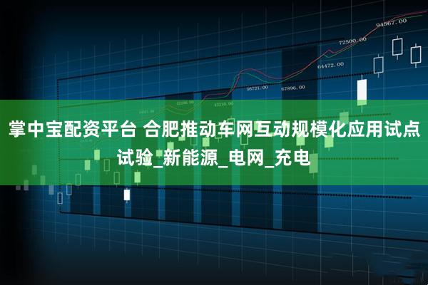 掌中宝配资平台 合肥推动车网互动规模化应用试点试验_新能源_电网_充电
